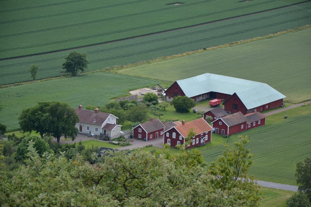 Bygga hästgård från grunden
